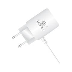 Ronin Energy Saving Smart Micro USB Charger R-788