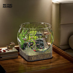 CLEAR TRANSPARENT ROUND AQUARIUM – DESKTOP MICRO-LANDSCAPE ECO FISH TANK DROP-RESISTANT ORNAMENTAL DECOR