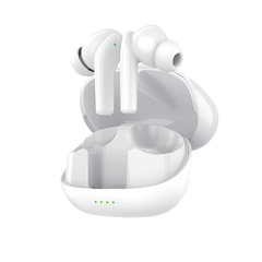 Xcess XB81 Wireless Earbuds